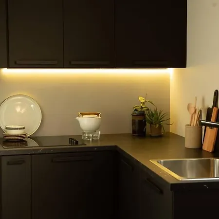 Zen - Calea Victoriei Апартаменты