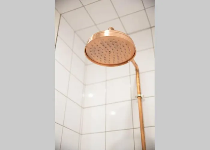 Zen - Calea Victoriei *